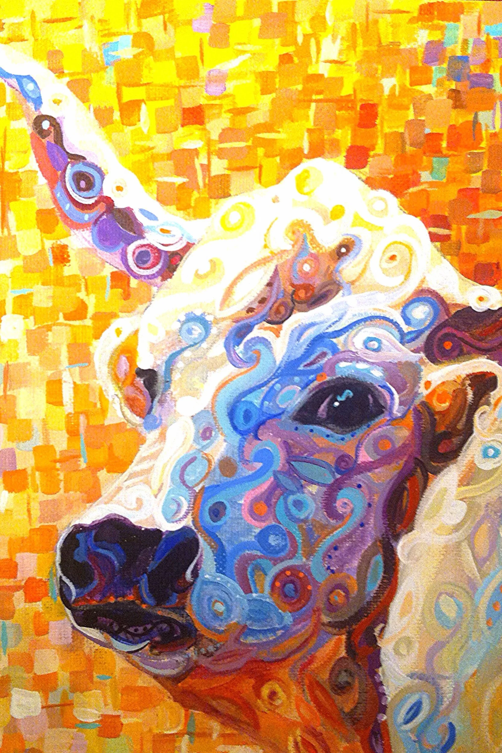 Boho Longhorn
