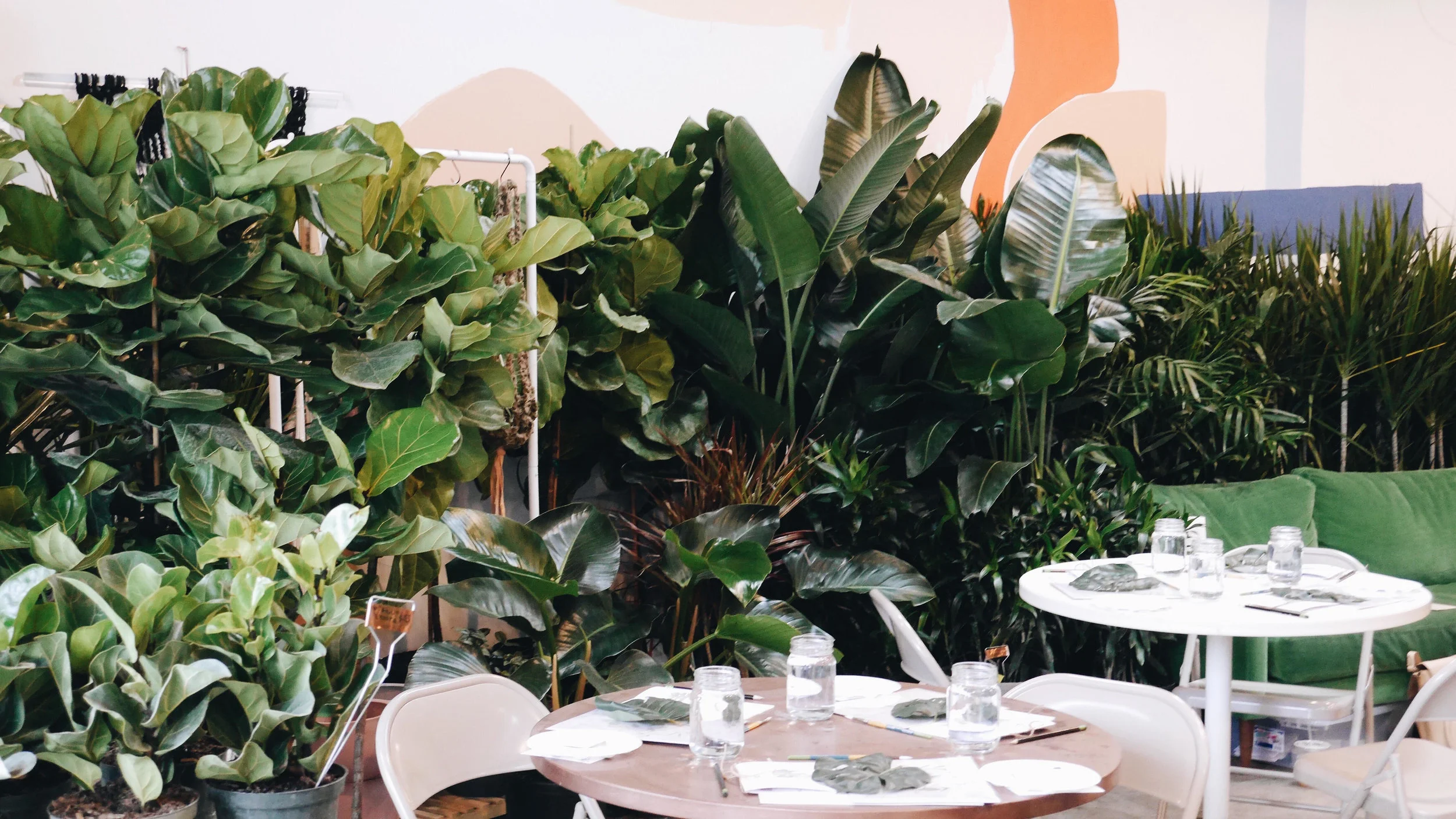 Flora Setup 1.jpg