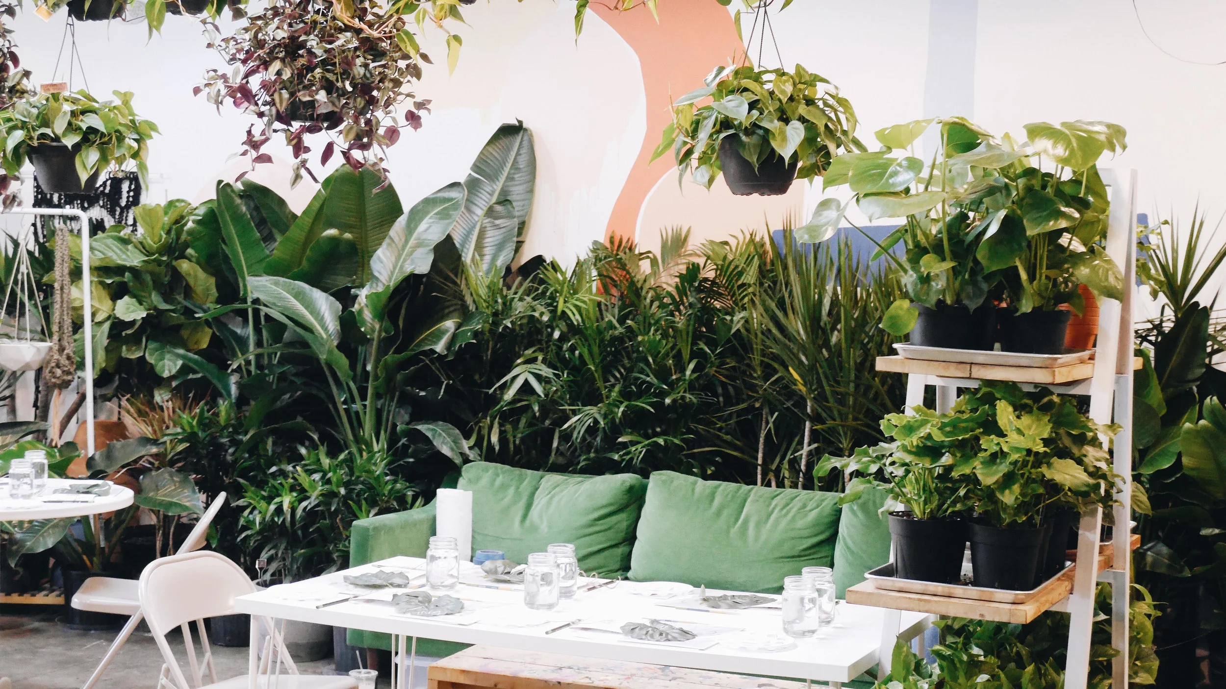 Flora Setup 2.jpg