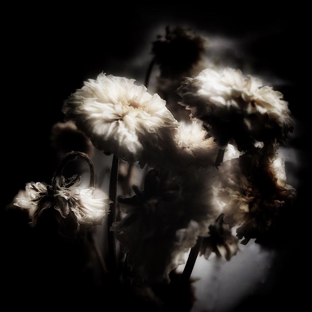D93734C0-2811-4A22-A0C5-F87F9F06A7F6.png