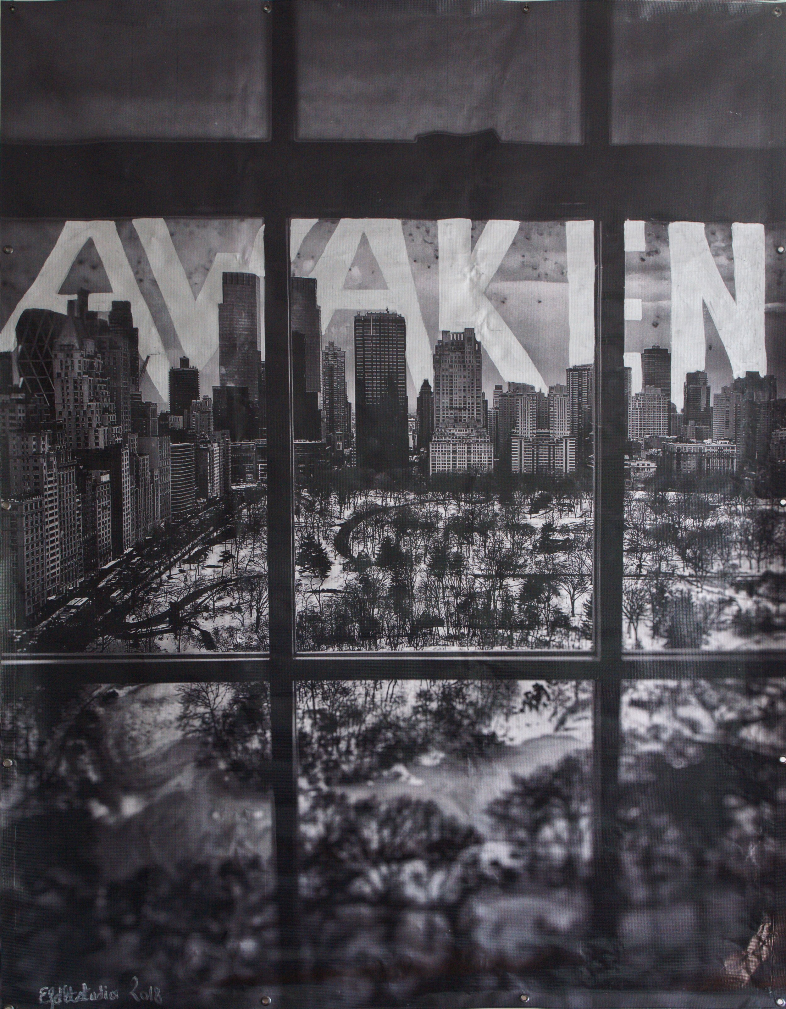 AWAKEN - EFDLt Studio.jpg