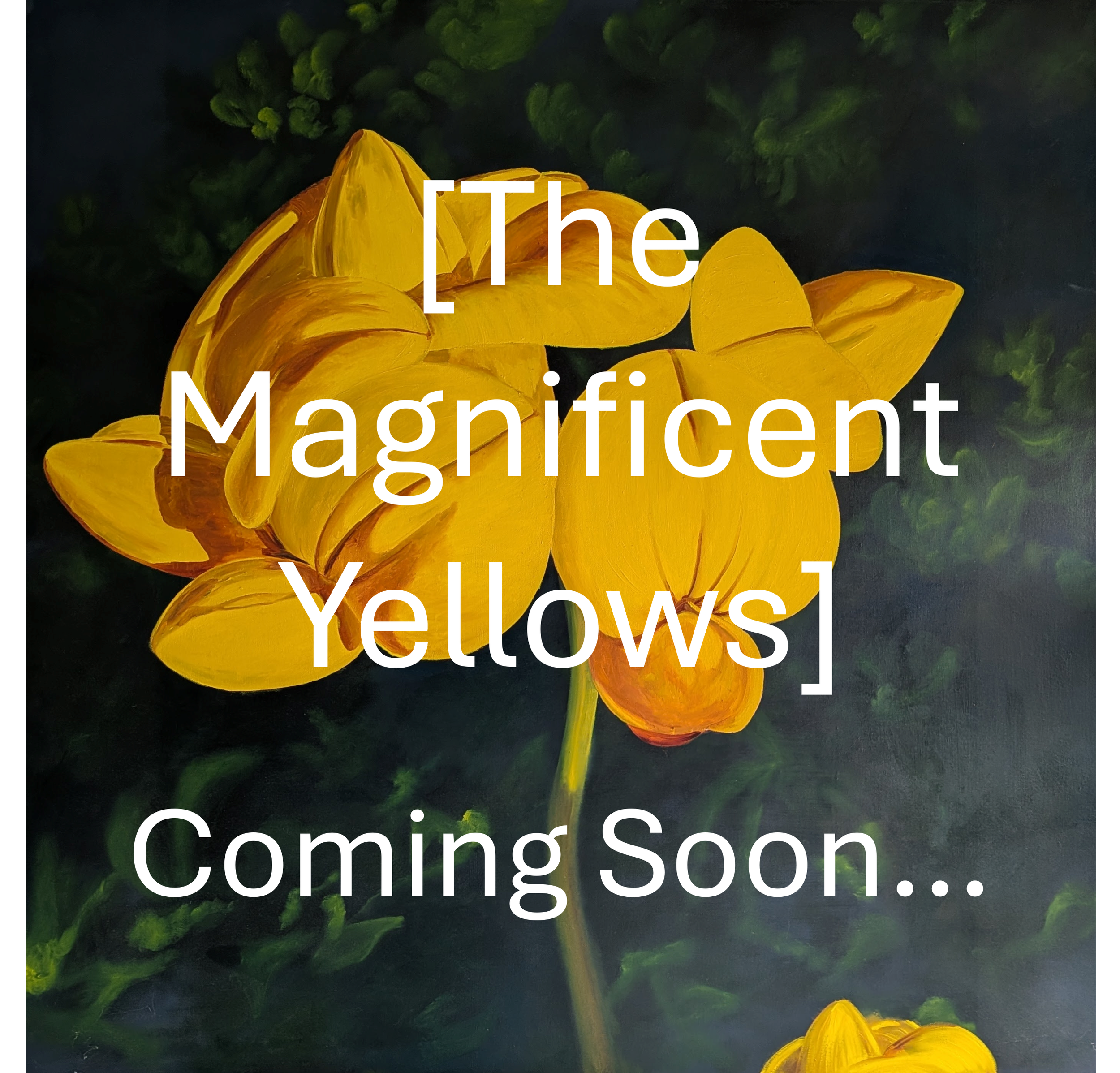 The Magnificent Yellows