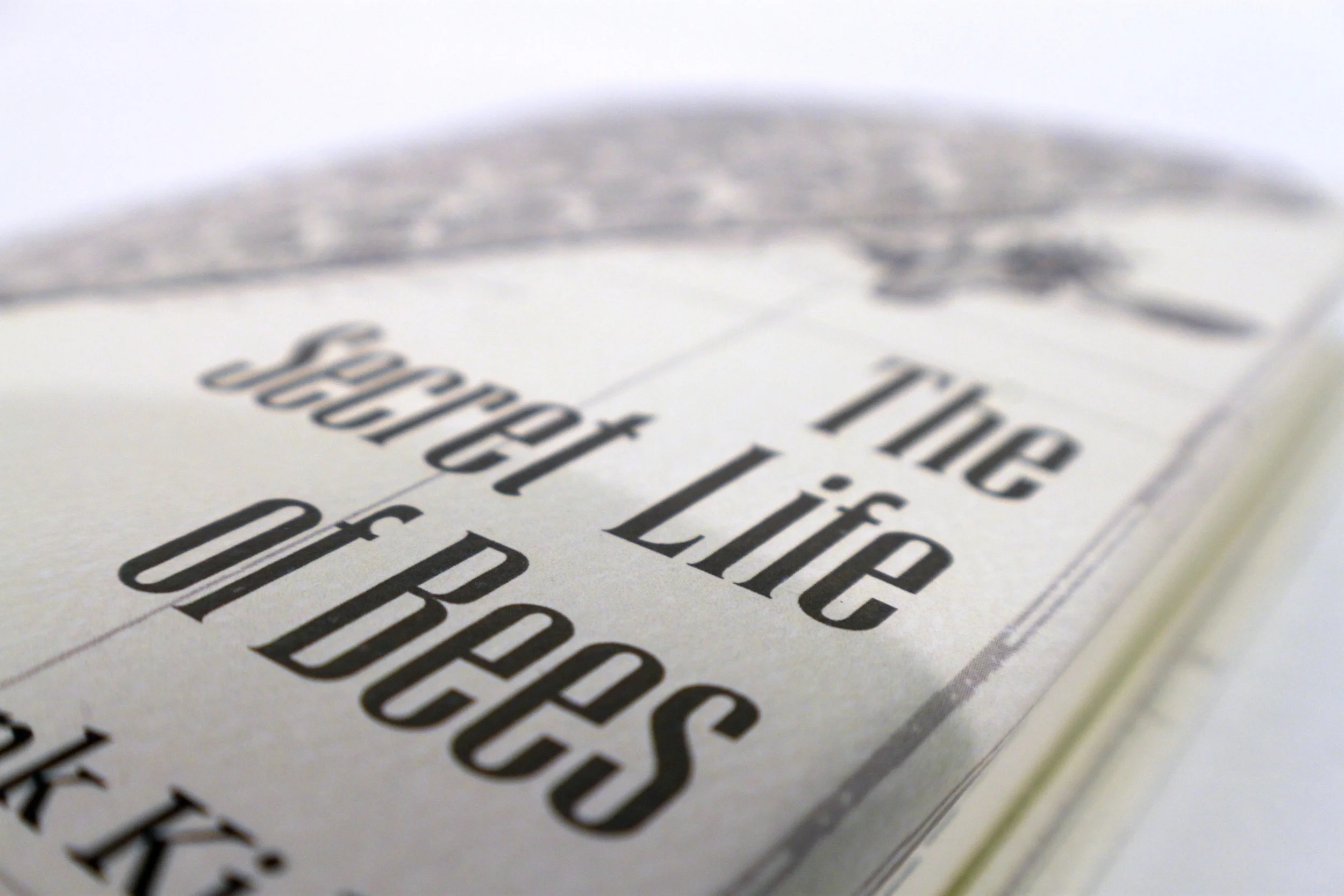 Closeupcover1.jpg