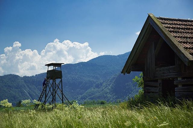 migrating old photos onto the new computer.  this was a classic day out with @kinneebee and @jacksonmang1, honing our skills at the ancient Bavarian art of *Bierstanden*. #walchensee #bayern #bierstand