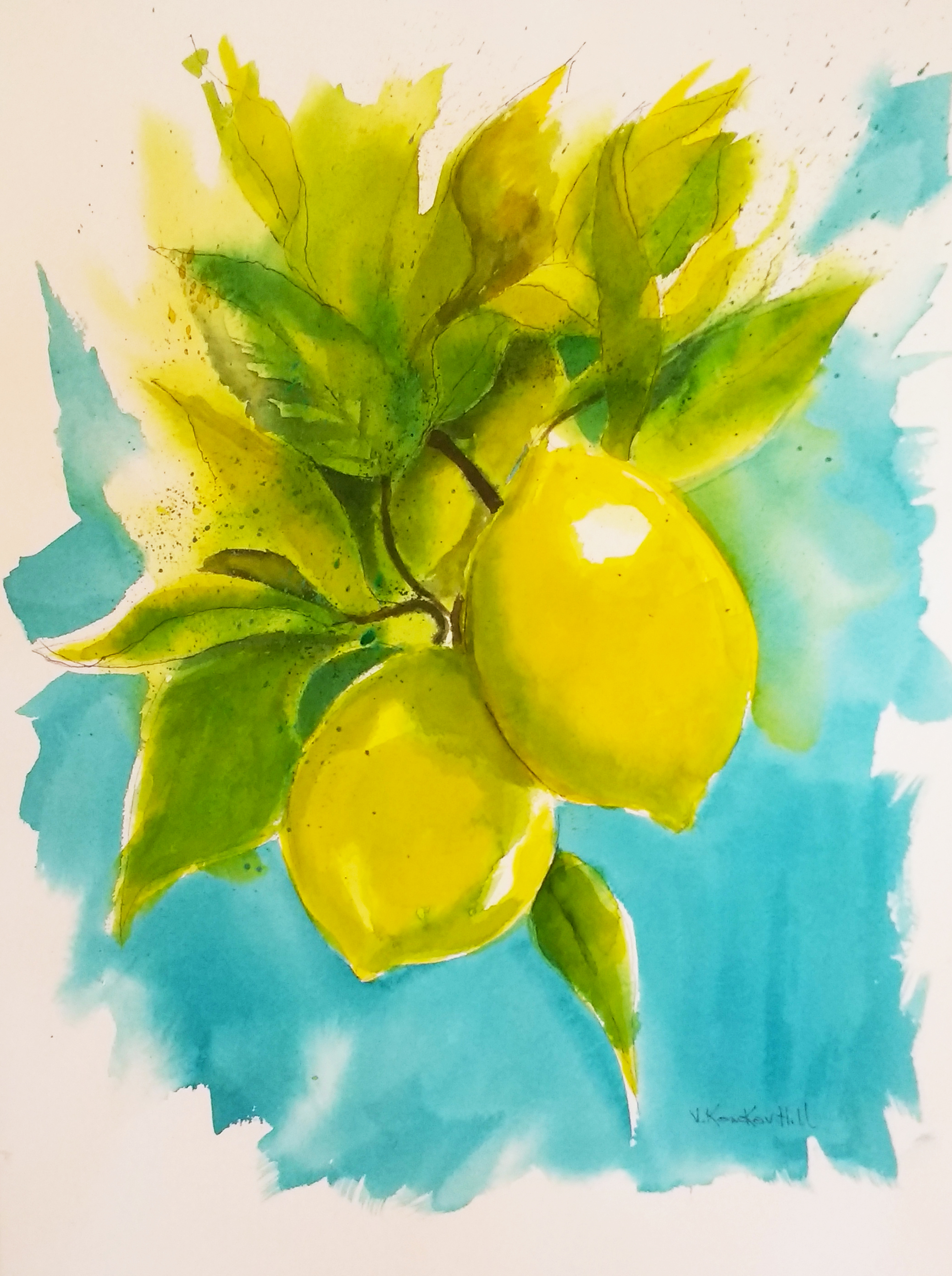Lemon Tree-Healdsburg, California- 2017