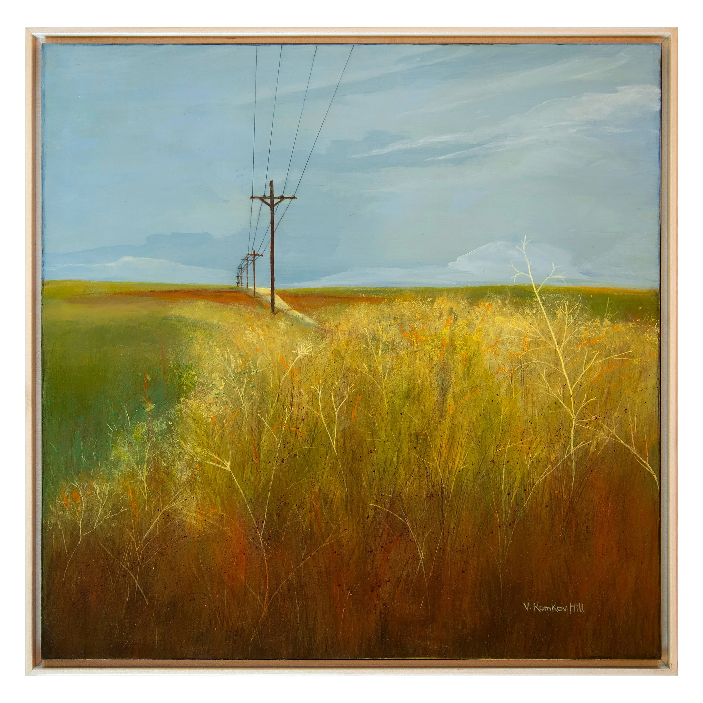 Field near Levelland-2018