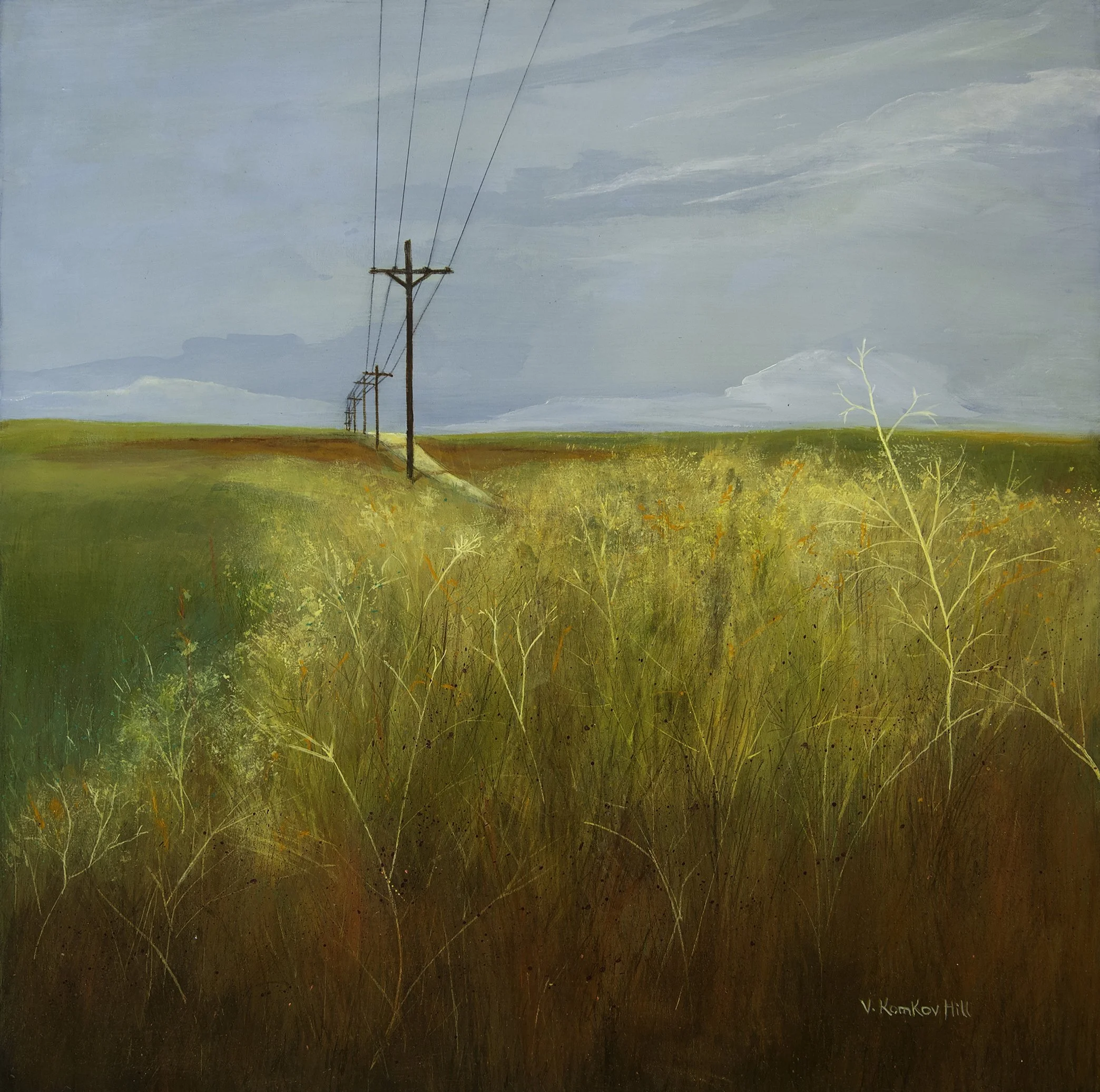 Fields Near Levelland-2018 cropped.jpg