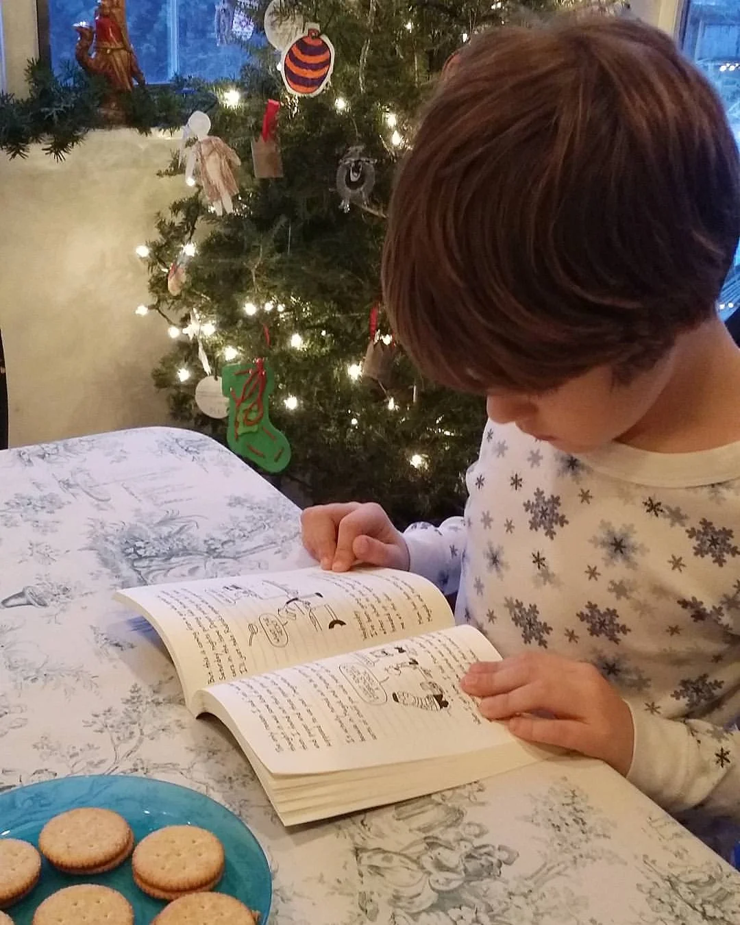 Is there anything better than reading a new book by the kitchen christmas tree?! Photo: Instagram herbergers_at_home/