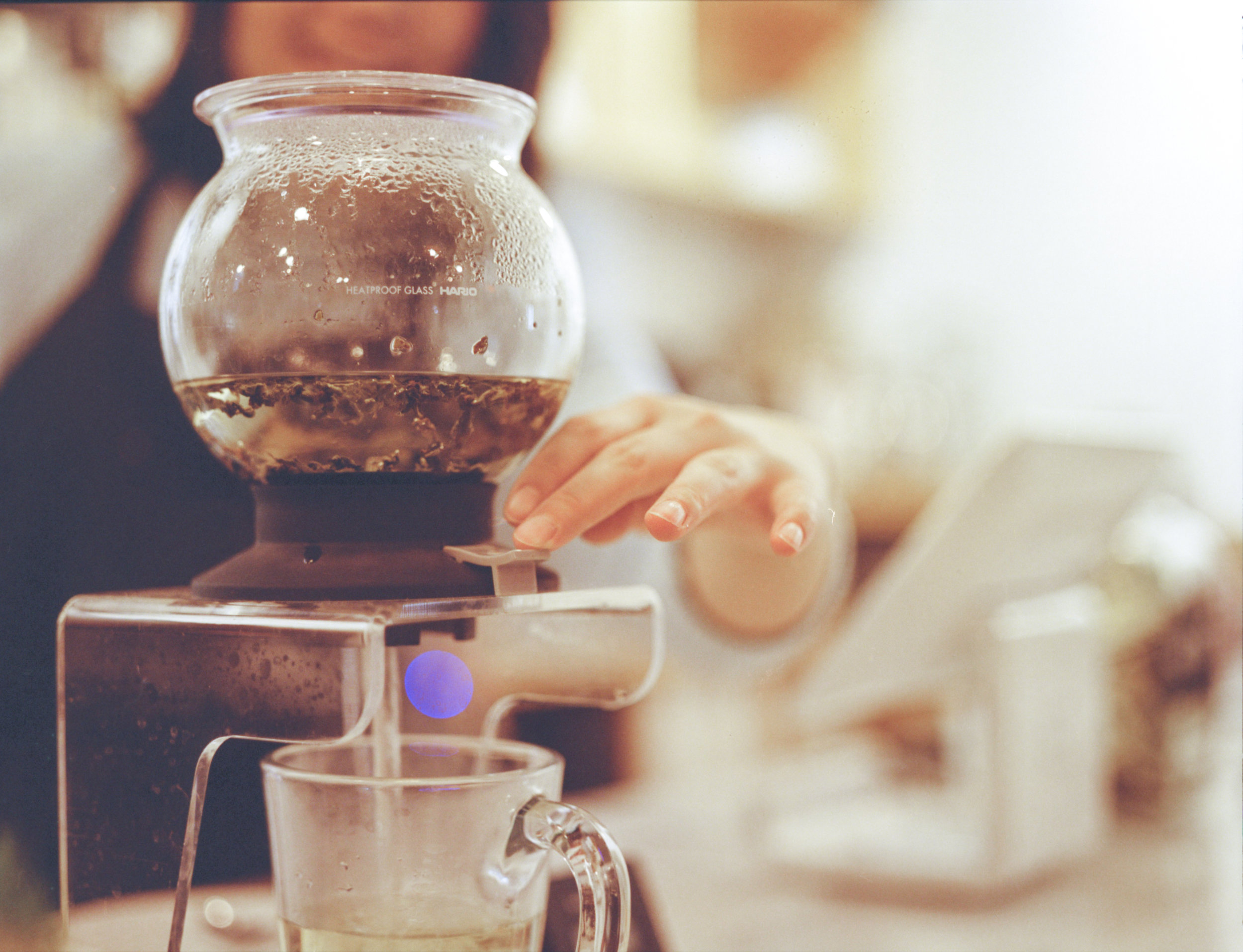 Steeping in the Fishbowl