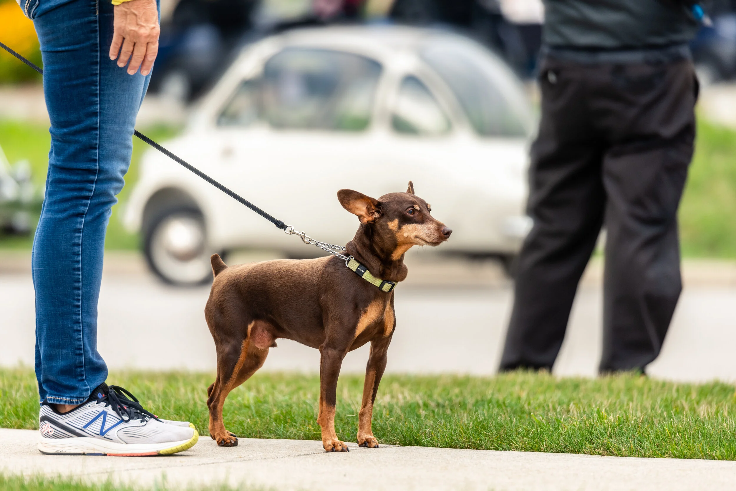 eAlder Cobble-29.jpg