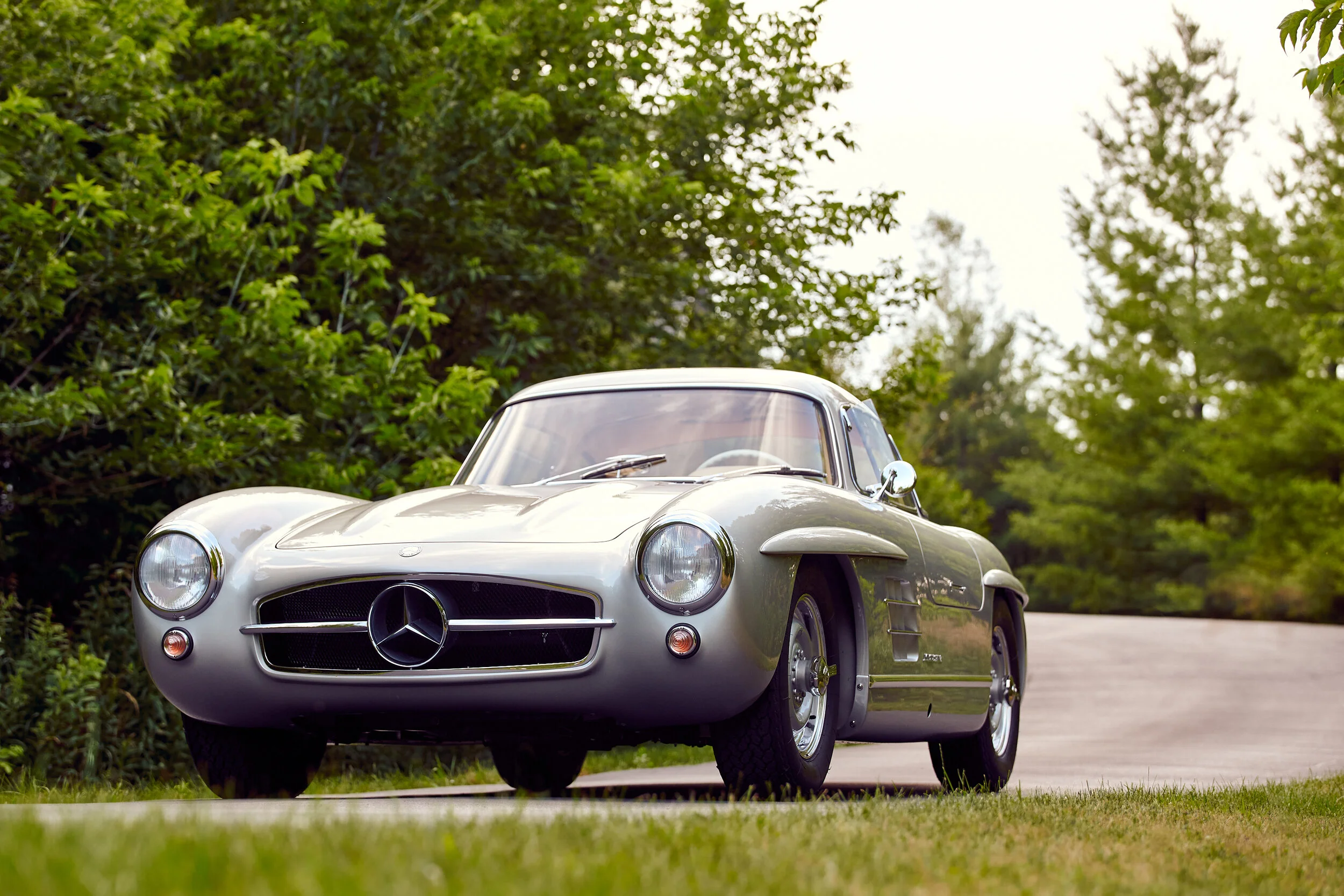 20-07 Gullwing 002.jpg