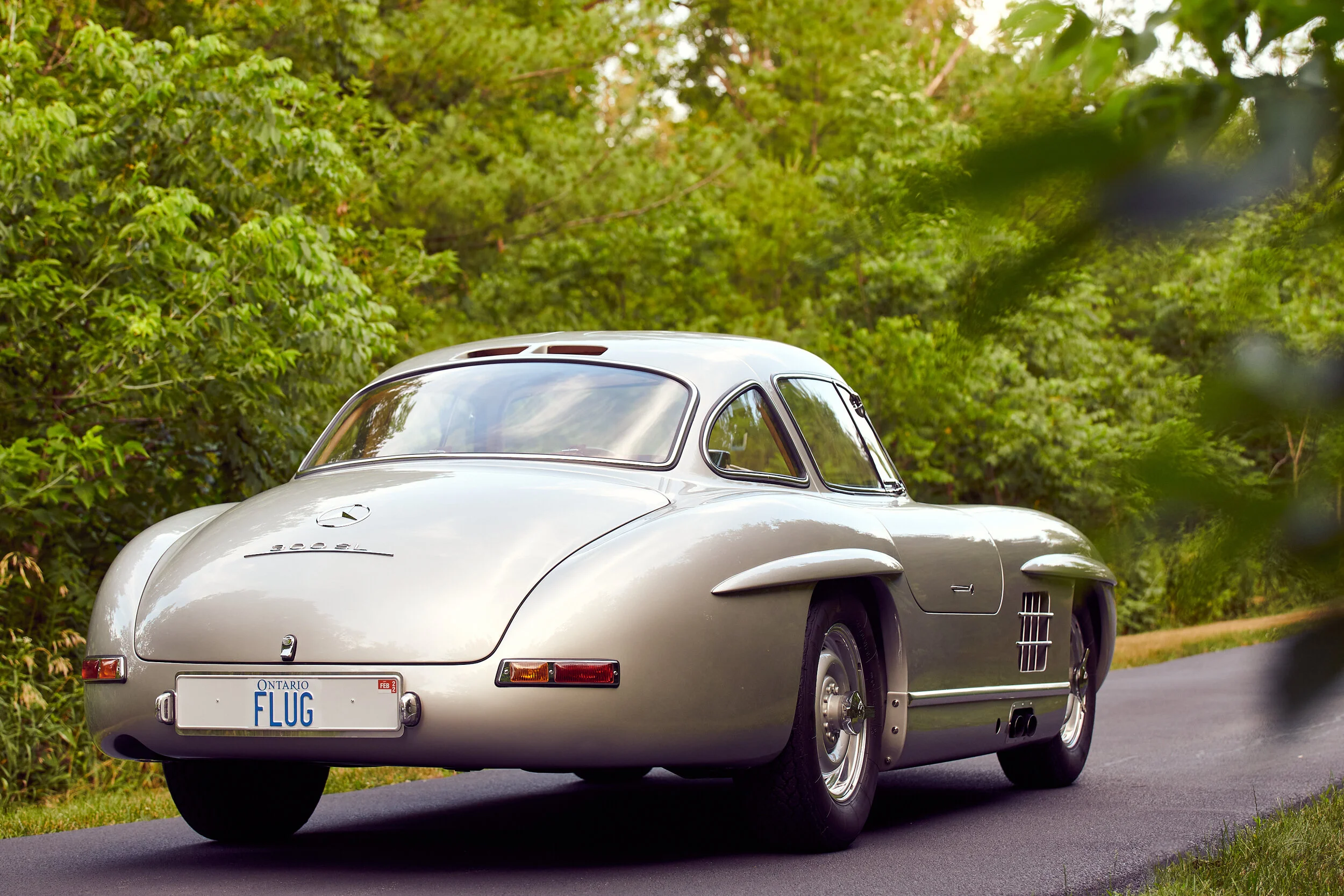 20-07 Gullwing 013.jpg
