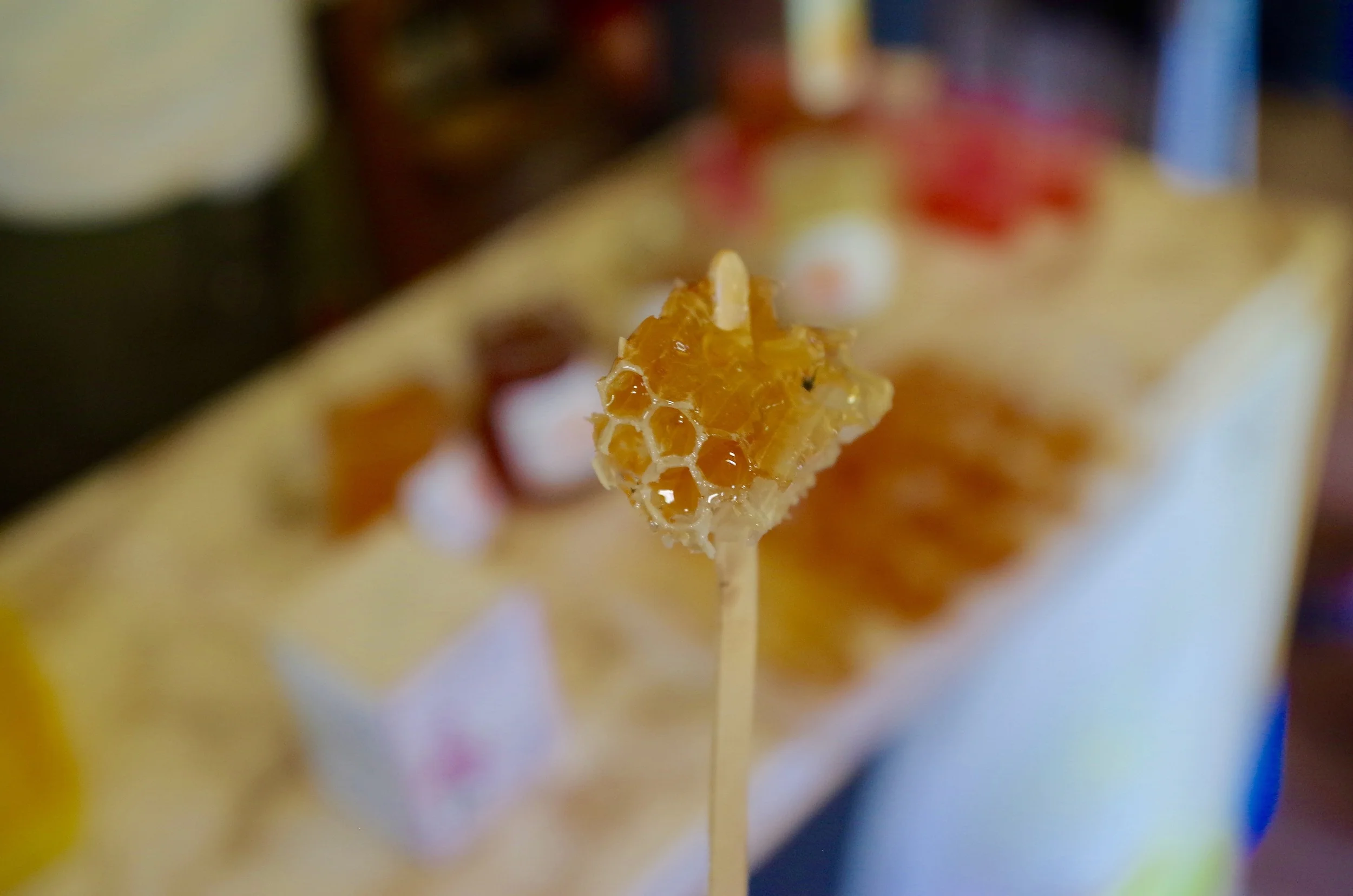 Honey tasting at Kralov Med