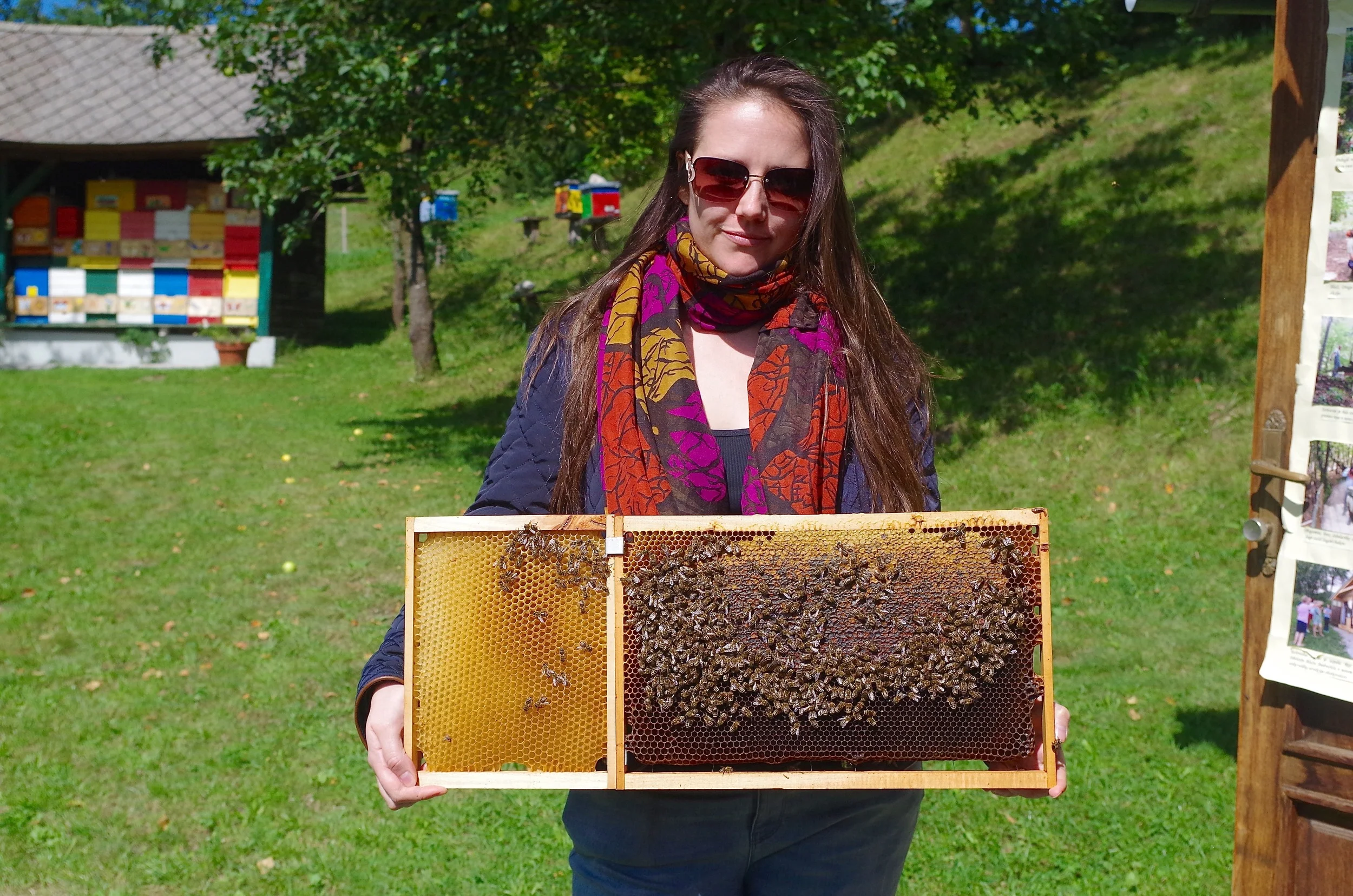 "Here are some bees. Sure hope none of them get stuck in my hair."