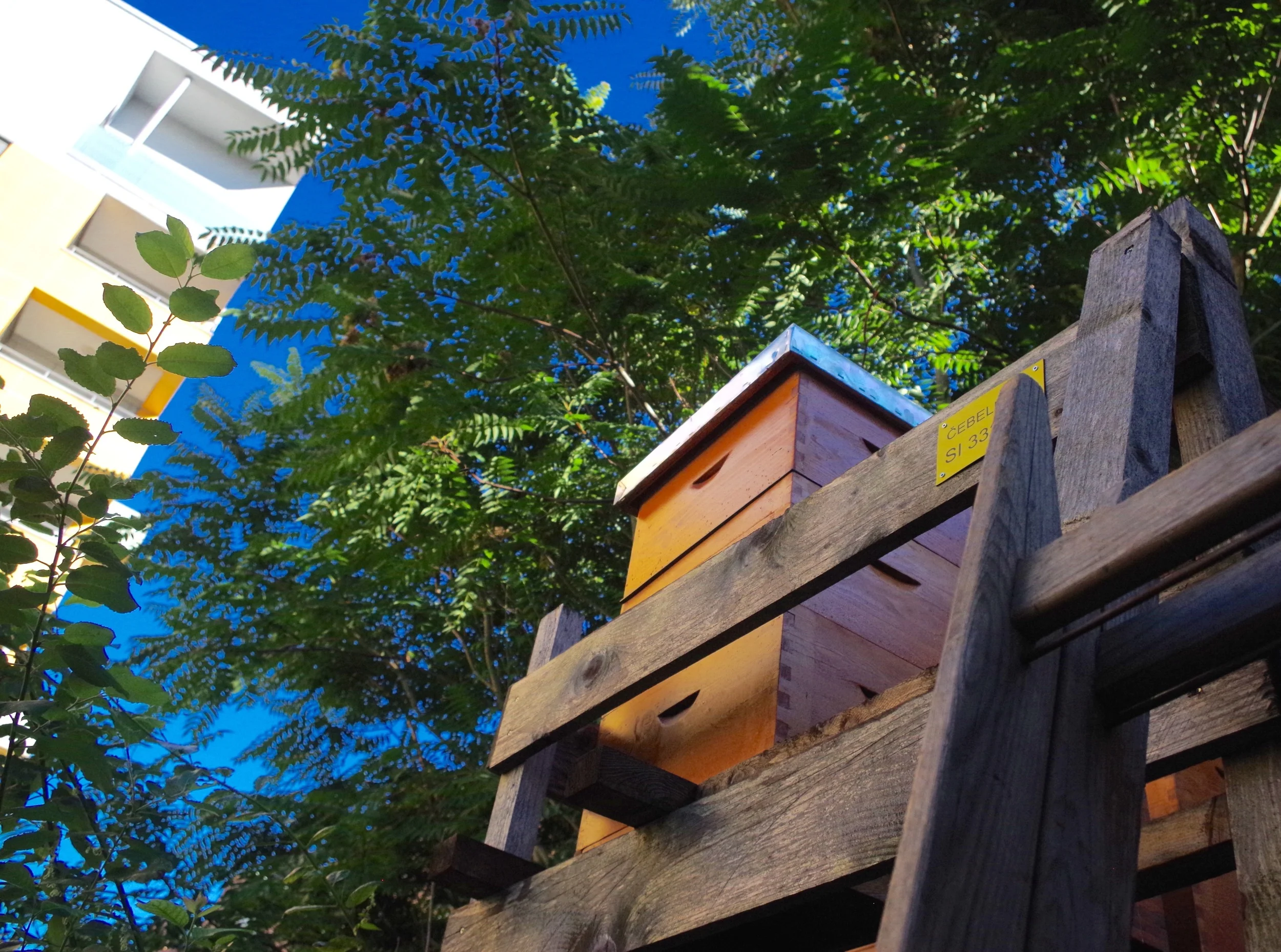 Urban beehive