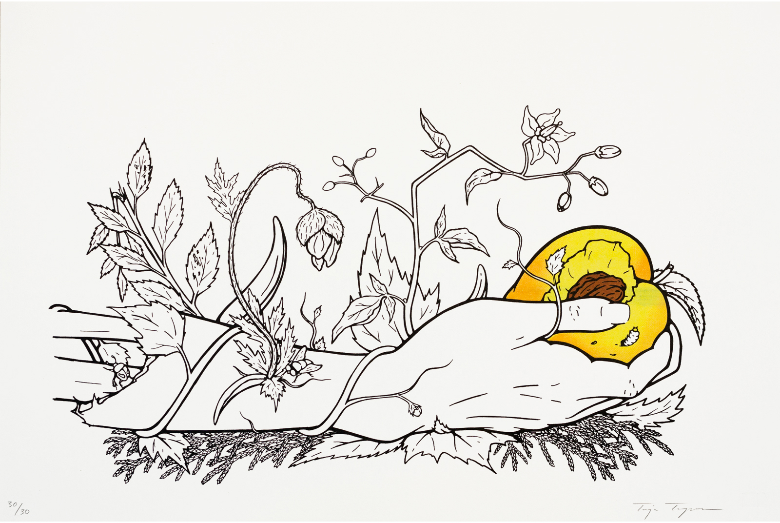 Untitled (Vanitas) print by Tonja Torgerson