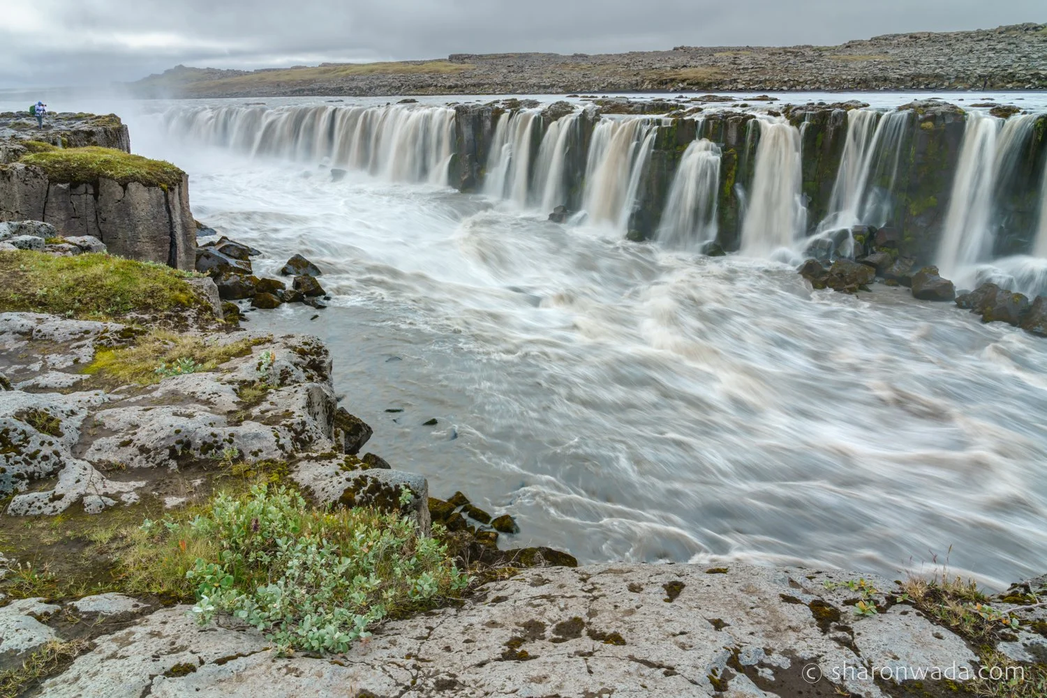 Best of Iceland_Website-2207-152.jpg