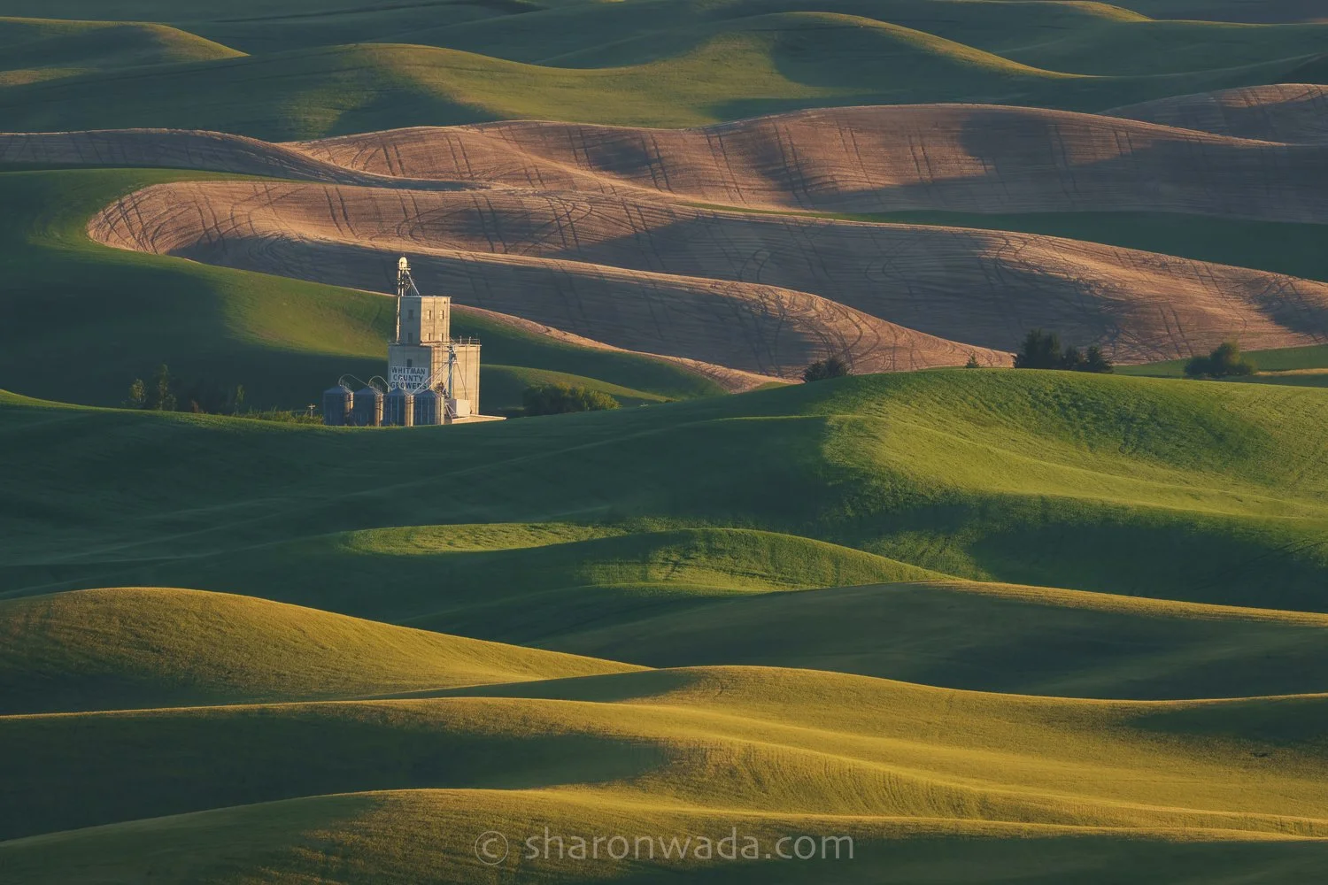 Palouse Scenes-230621-002.jpg