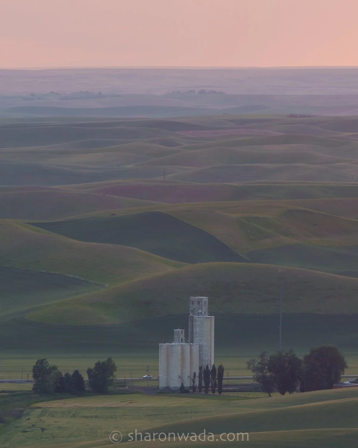 Palouse Scenes-230621-013.jpg
