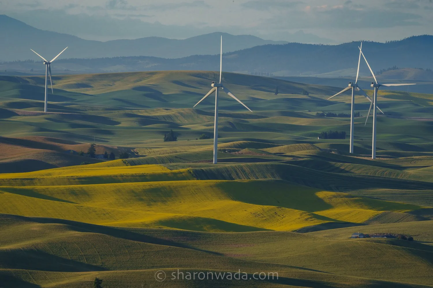 Palouse Scenes-230621-003.jpg