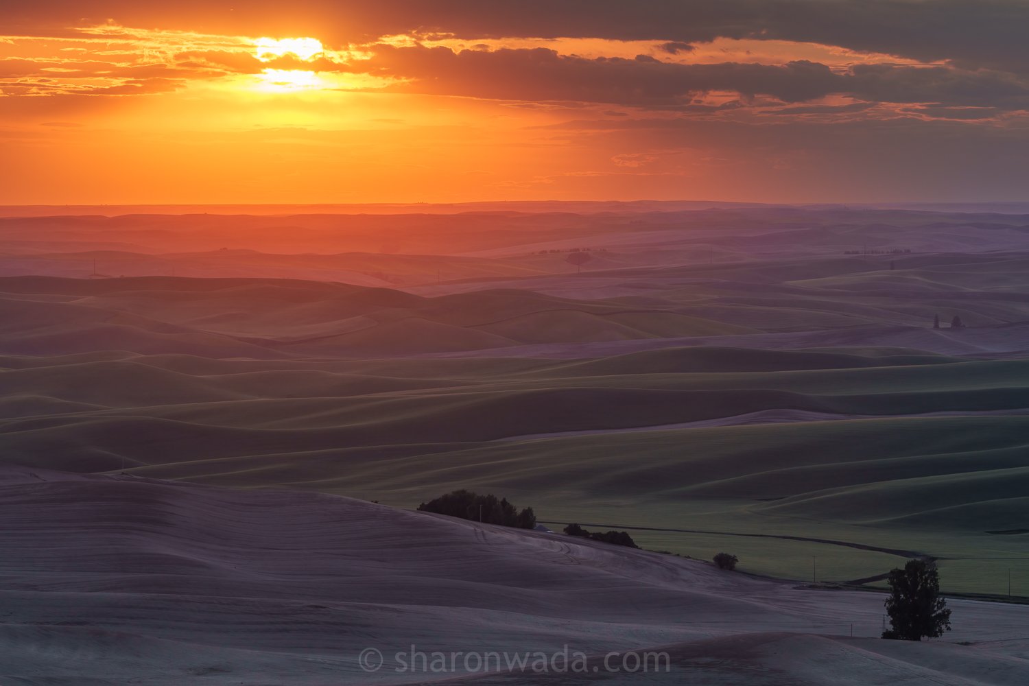 Palouse Scenes-230621-040.jpg