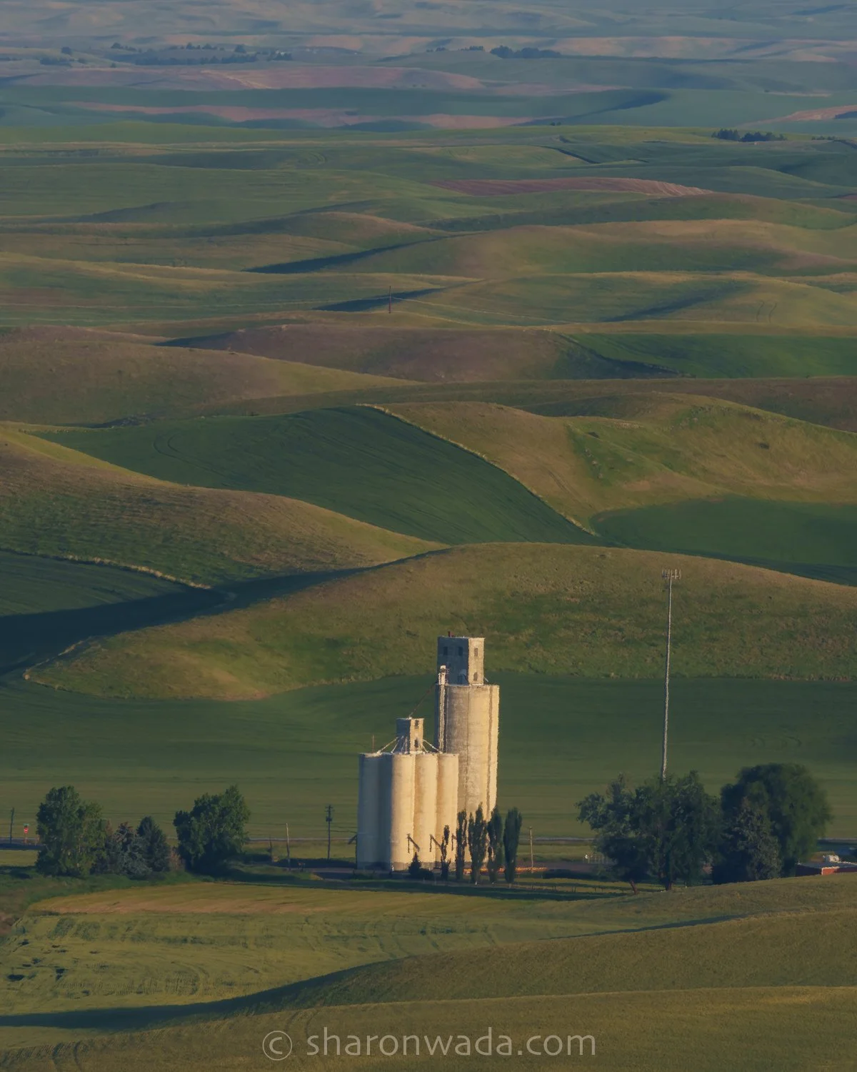 Palouse Scenes-230622-014.jpg