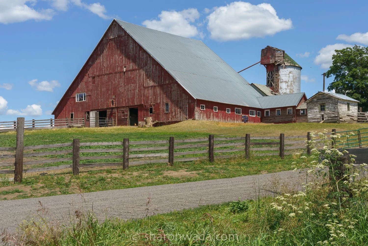 Palouse Scenes-230622-011.jpg