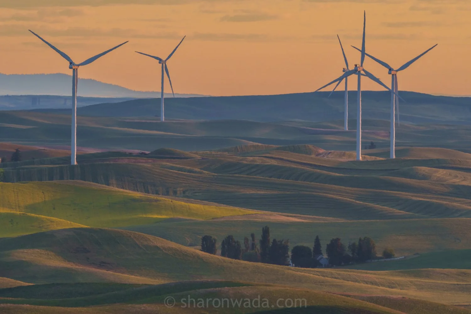 Palouse Scenes-230623-042.jpg