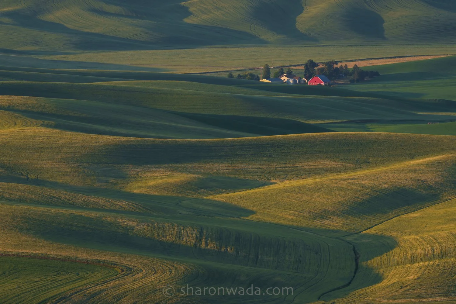 Palouse Scenes-230624-011.jpg
