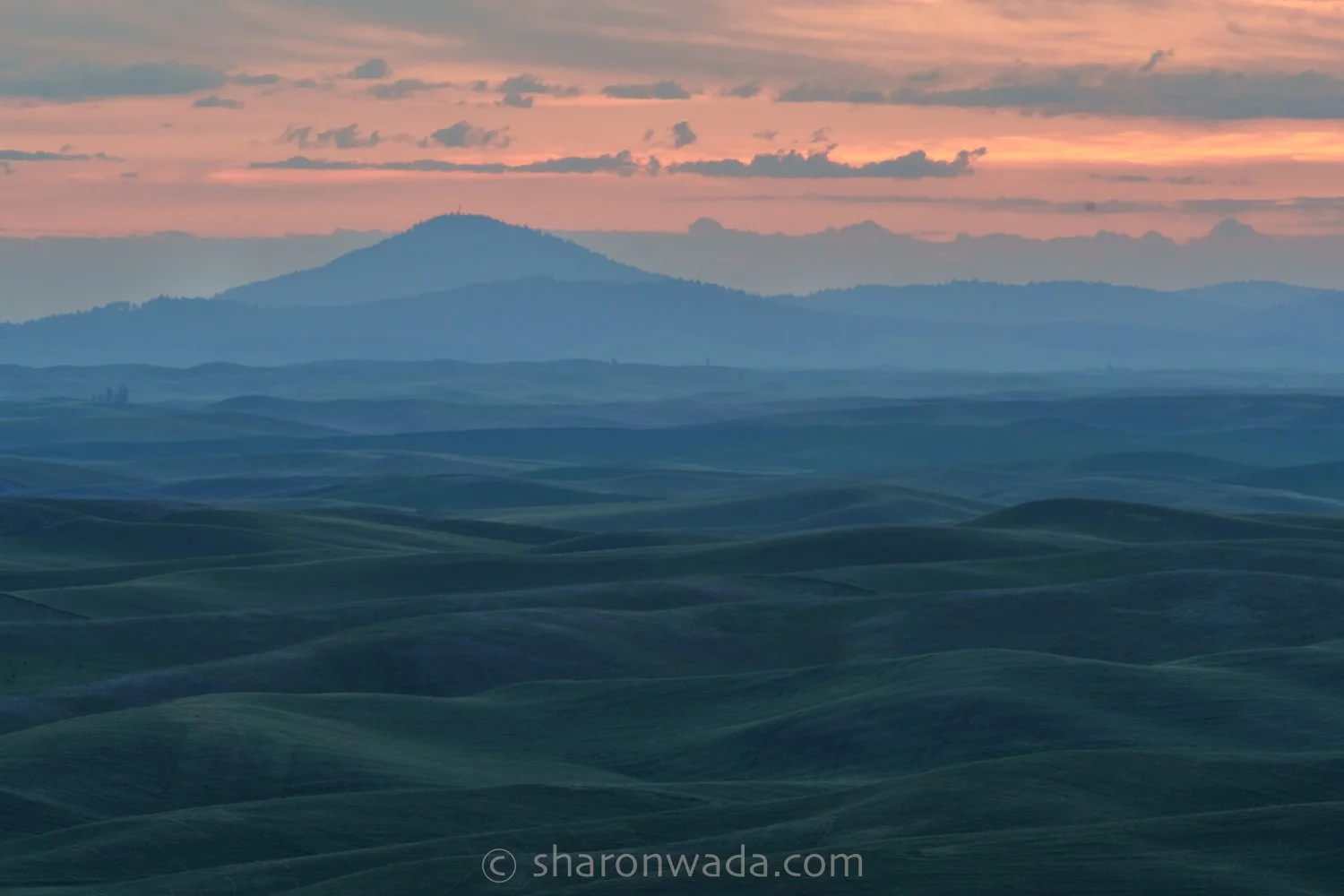 Palouse Scenes-230624-012.jpg