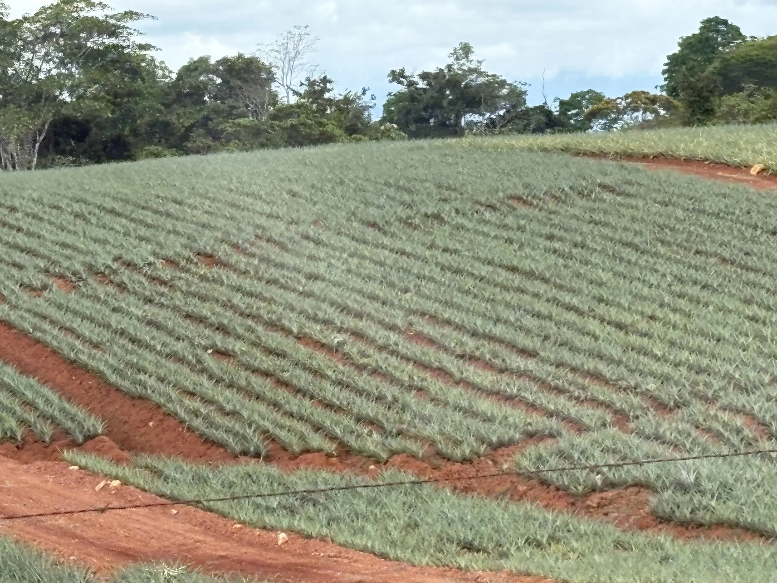 zIMG_0405.jpg