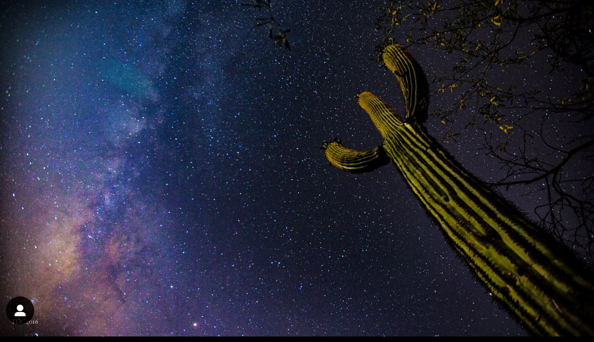 Screen Shot 2019-01-24 at 2.36.58 PM.png