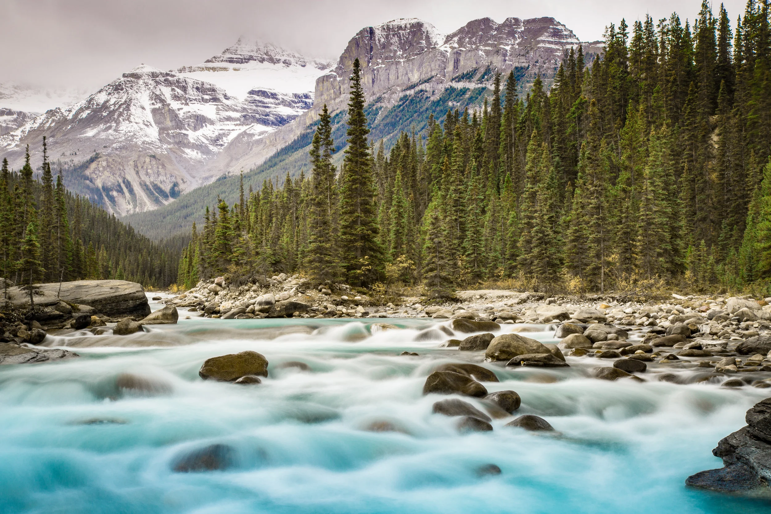 BarnesCanvasPhoto2016.jpg