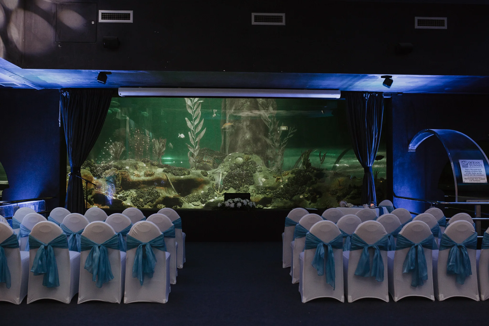 Diesel Wedding- Lisa Fisher Photography-181.jpg