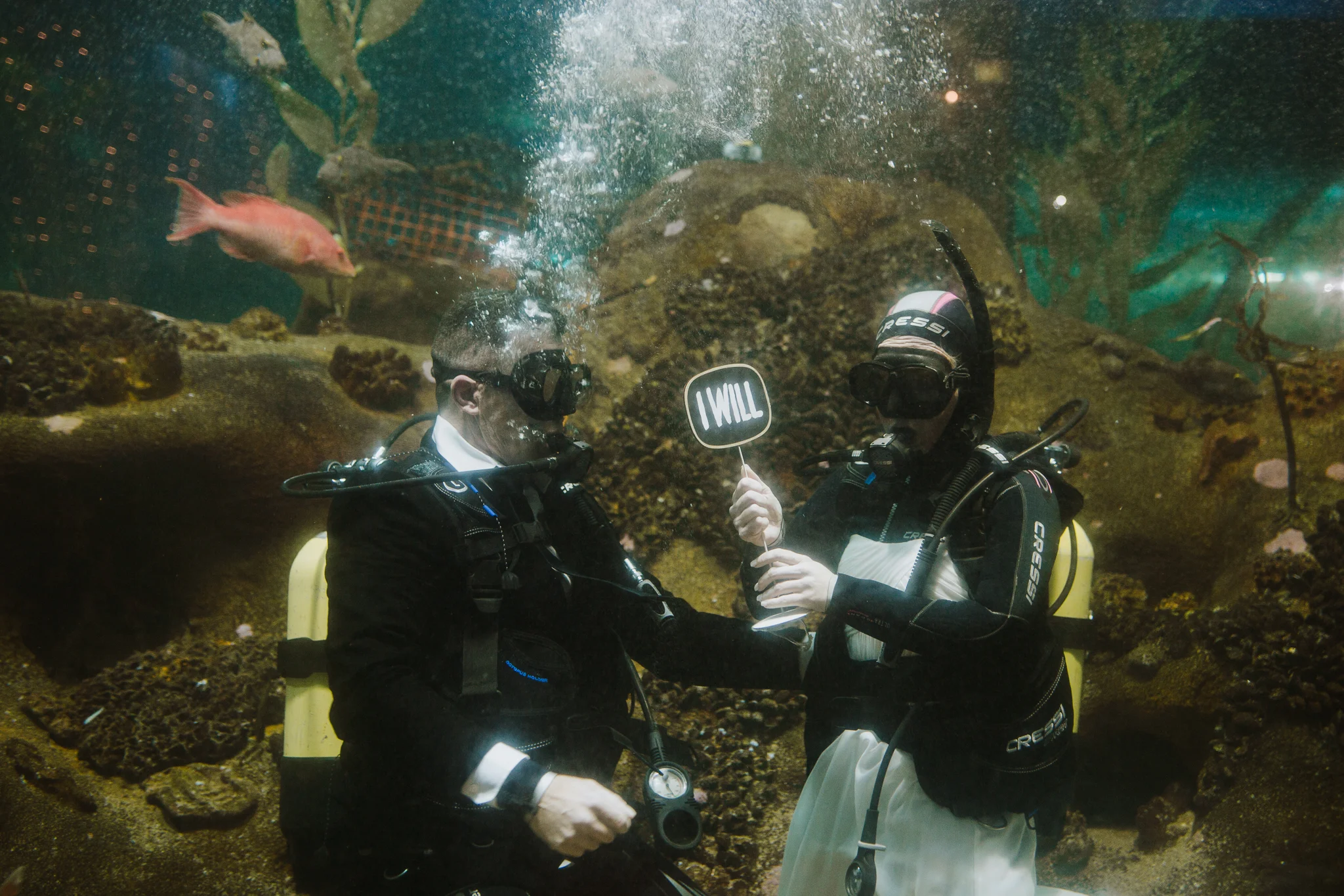 Diesel Wedding- Lisa Fisher Photography-273.jpg