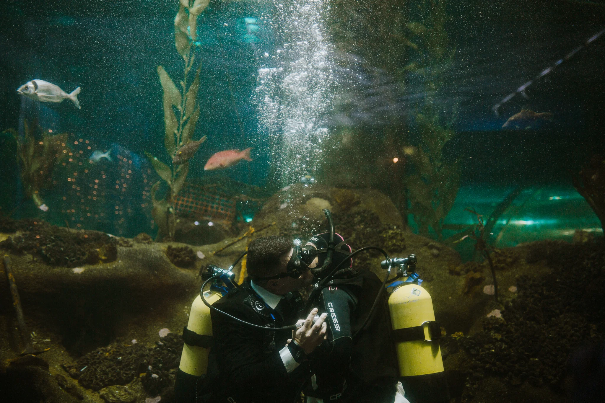 Diesel Wedding- Lisa Fisher Photography-291.jpg