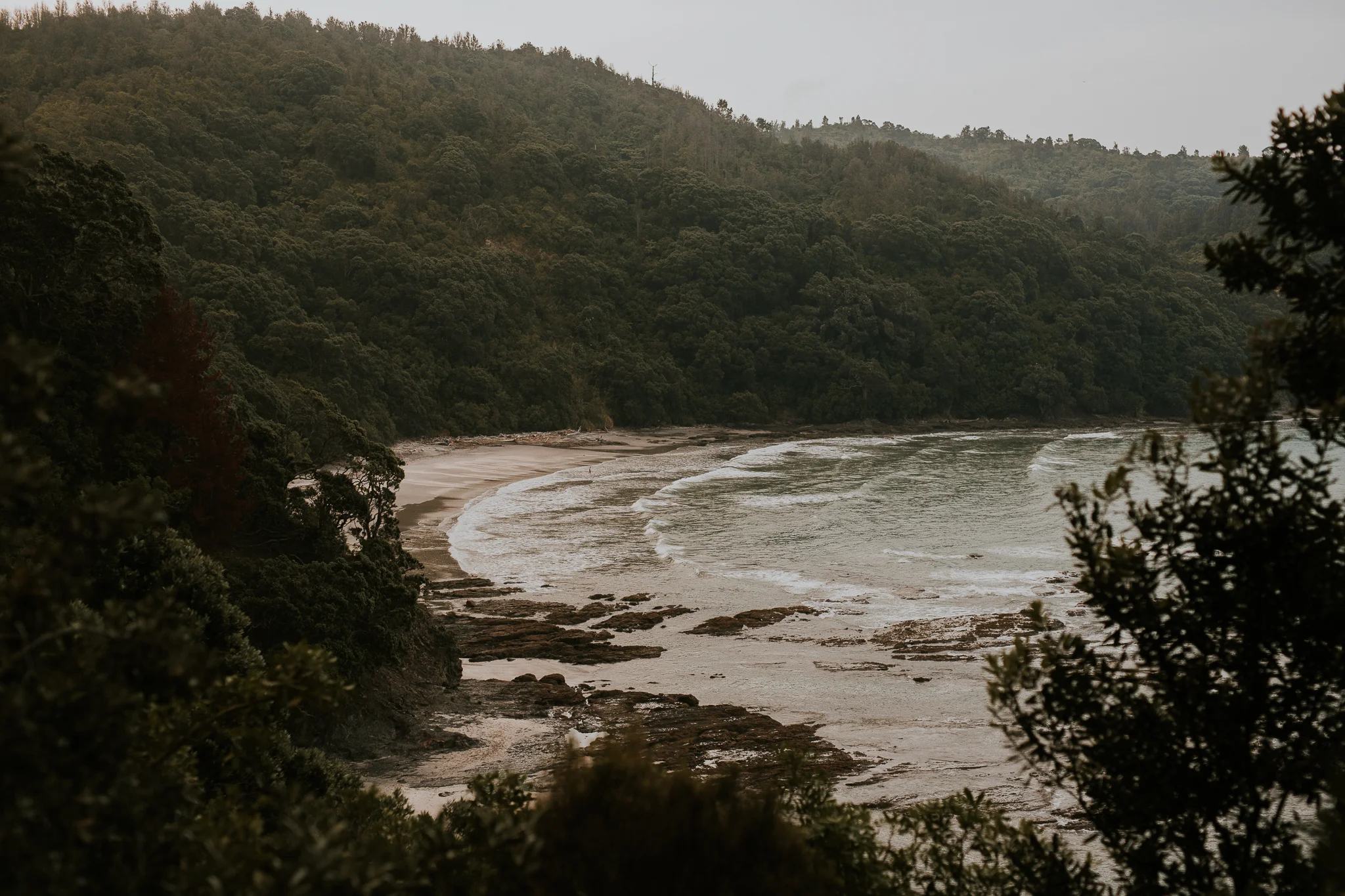 Lisa Fisher Photography Hawkes Bay Wedding Engagement Ohope Beach-22.jpg