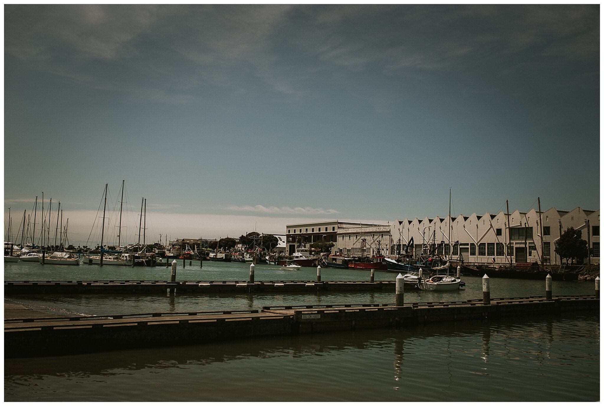 Napier Wedding Photographer -1.jpg