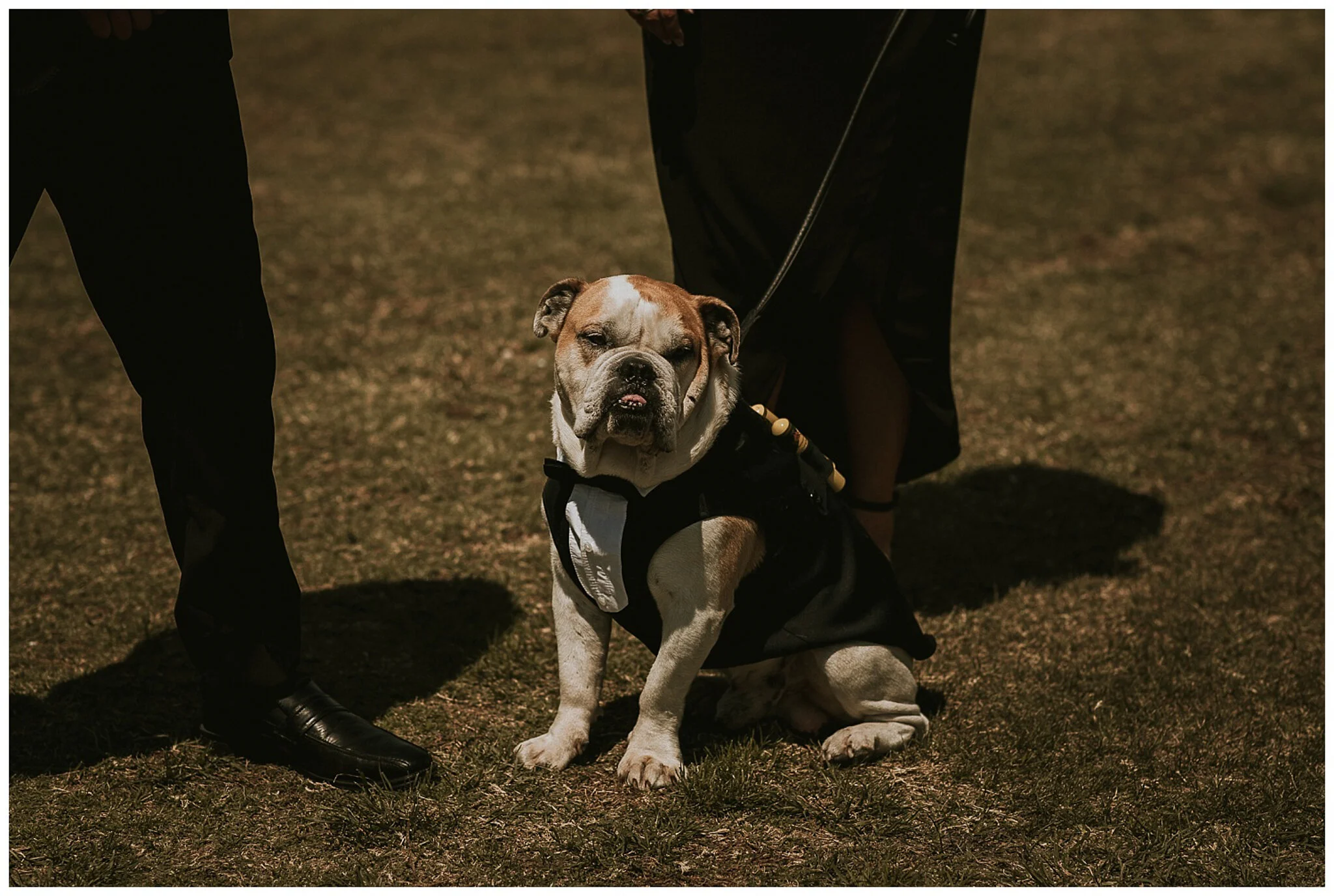 Napier Wedding Photographer -14.jpg