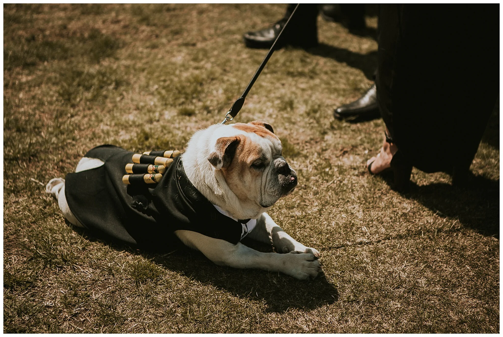 Napier Wedding Photographer -23.jpg