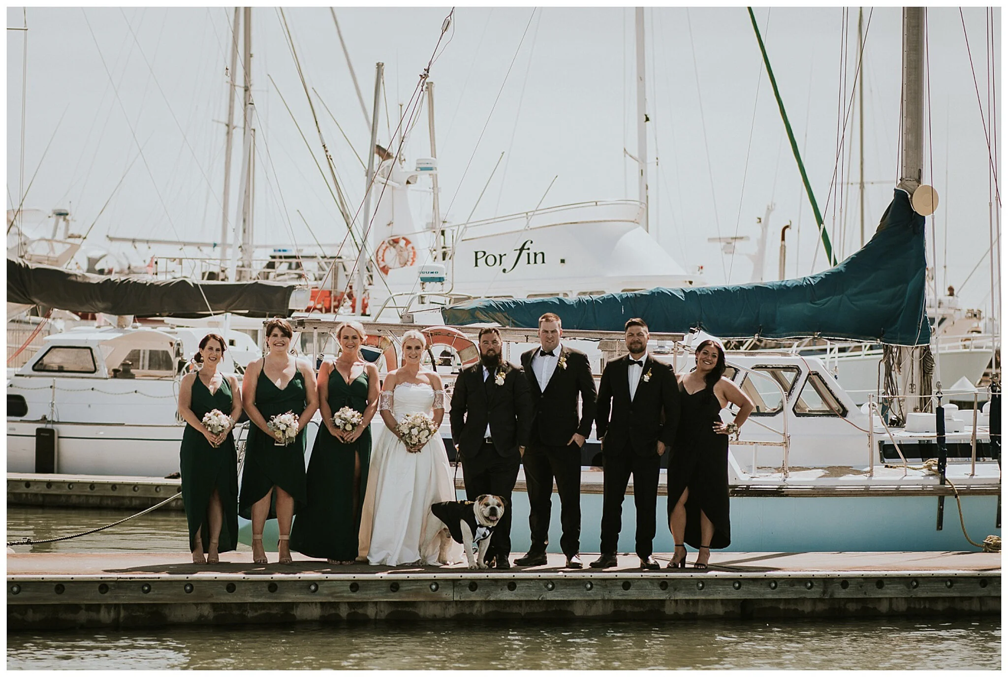 Napier Wedding Photographer -28.jpg