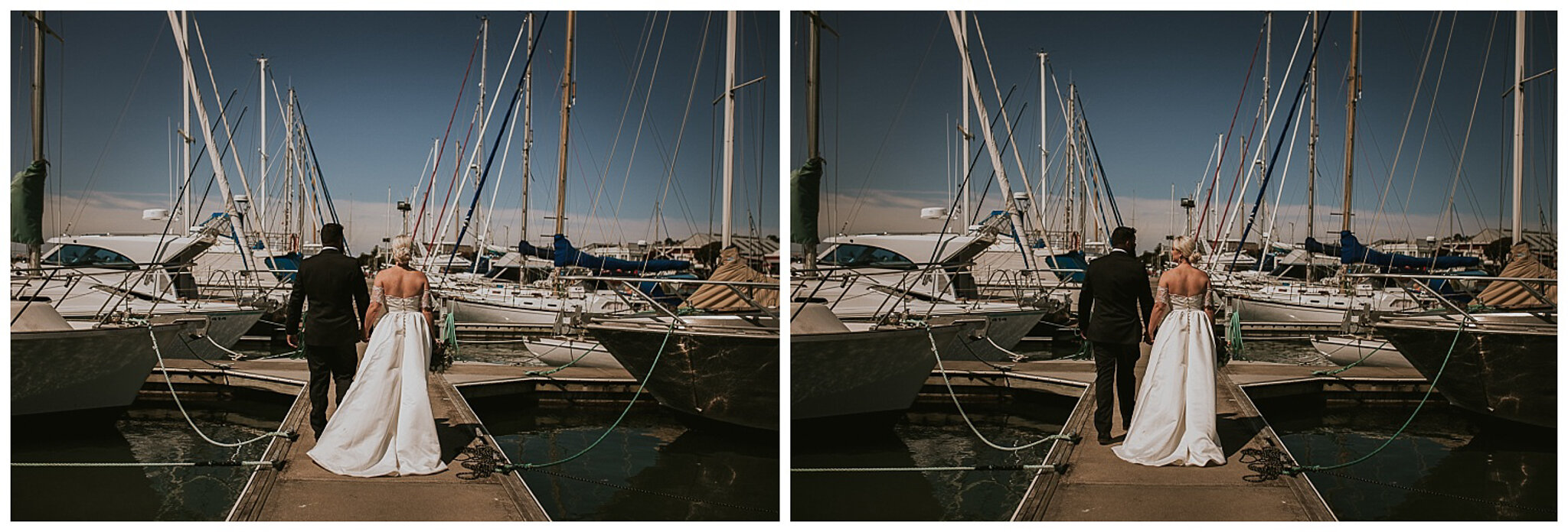 Napier Wedding Photographer -29.jpg