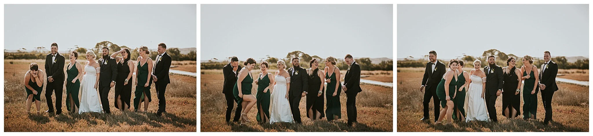 Napier Wedding Photographer -50.jpg