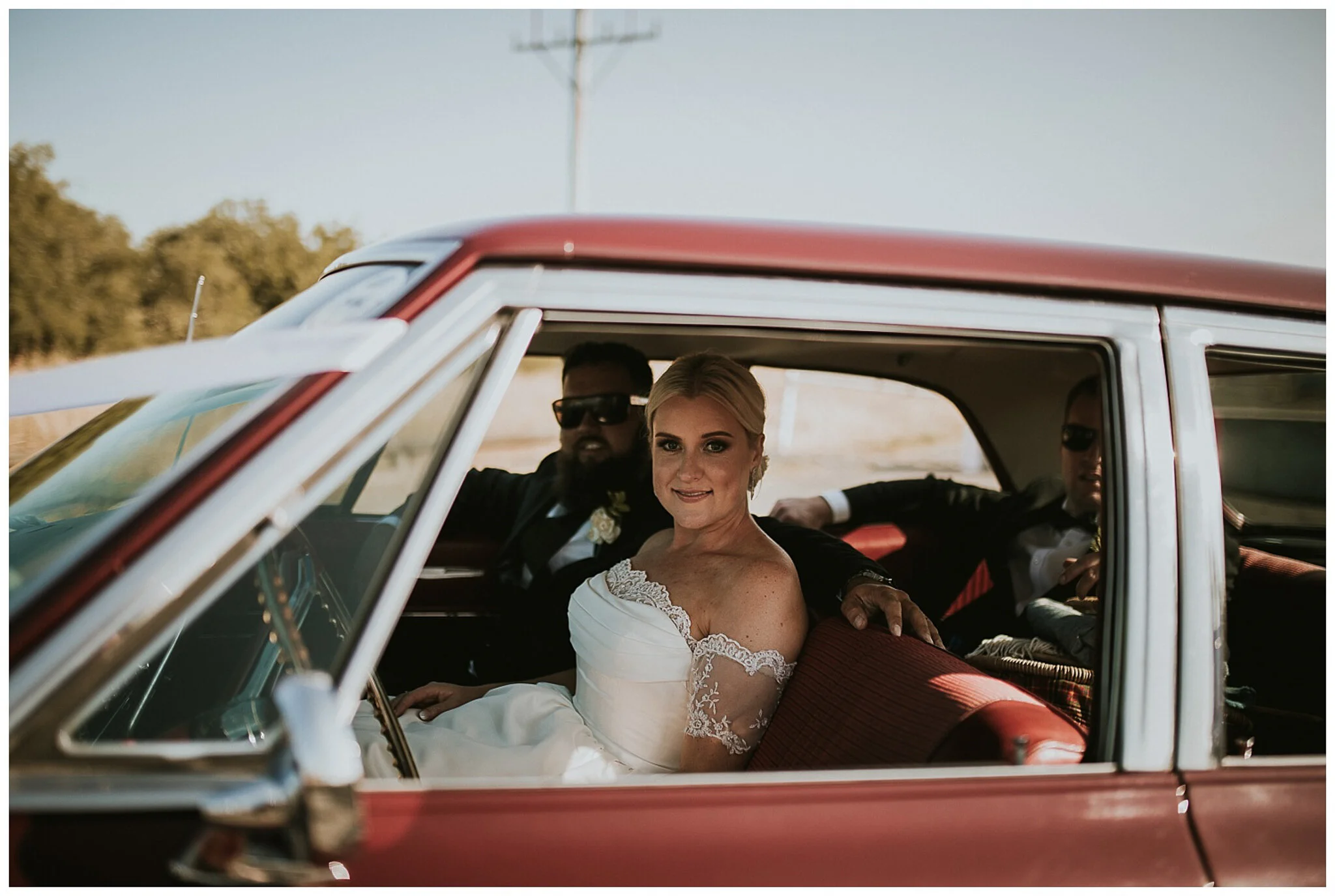 Napier Wedding Photographer -64.jpg