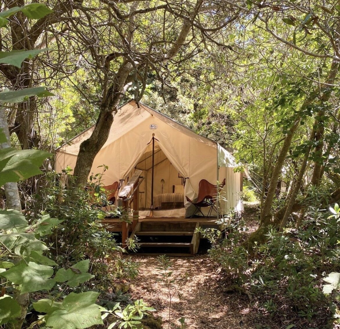 Our season ends soon - book one last stay with us! 🏕️

photo via @unoeth 

#autumn #autumnal #mendocinogrove #autumnleaves #cozyfall #FallTravel #AutumnAdventures #glamping #travelinfall #autumnescapes #mendocinogrove