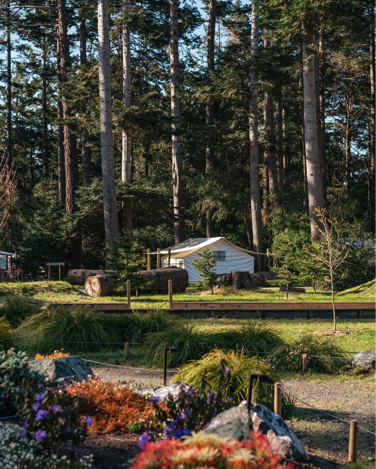Spring camping at Mendocino Grove is an experience like no other! 🏕️ Don't miss out on the chance to immerse yourself in the beauty of blooming flowers, crisp coastal air, and tranquil surroundings. Have you made your reservation to visit us yet? Sw