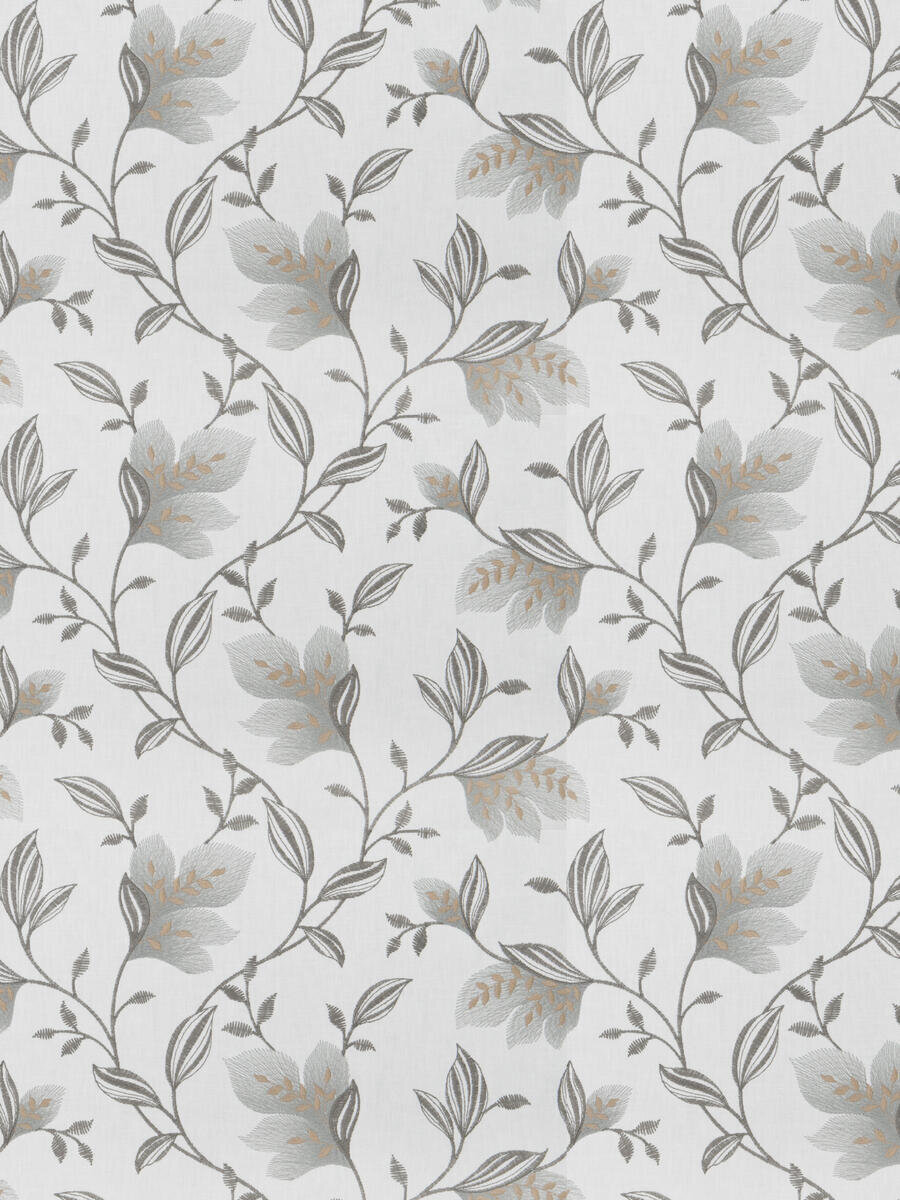 03670 | Dove.jpg