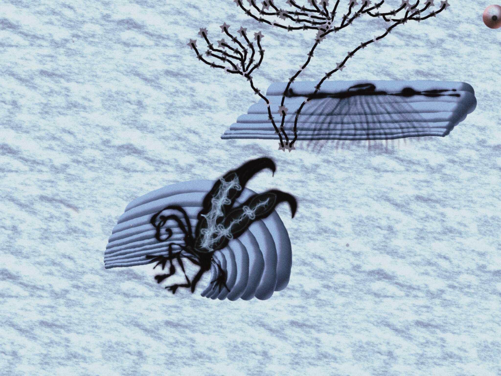 E8914DE1-A4C0-49FA-8C3D-70FEA34B8FAA.jpeg