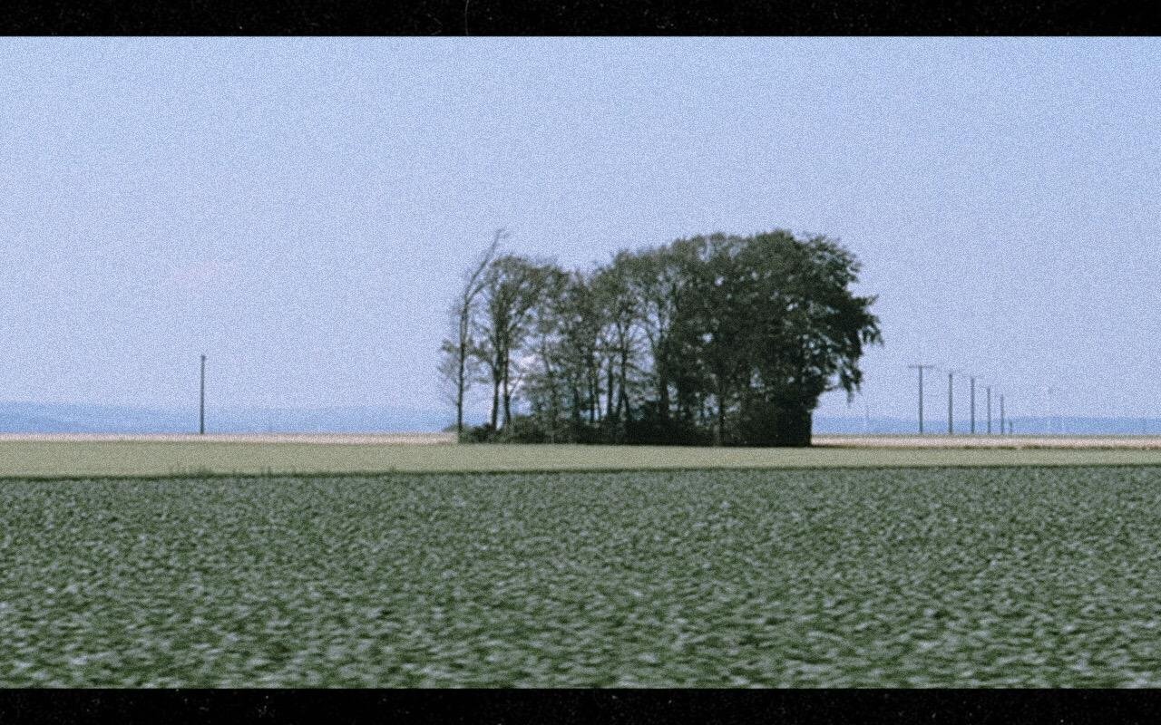 1.-FilmstillVDB7.jpeg