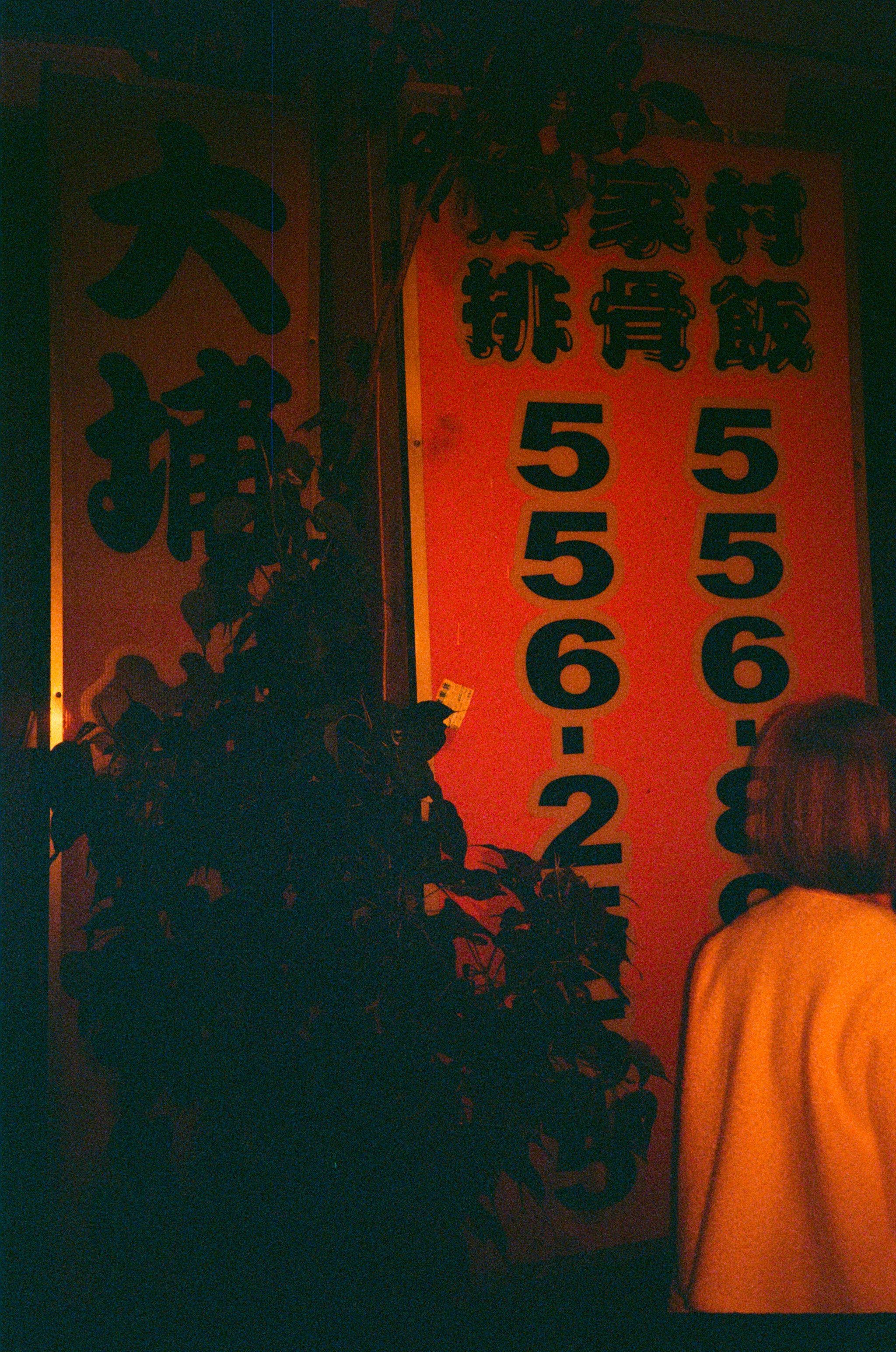 Redscale Film 2026 -10.jpg